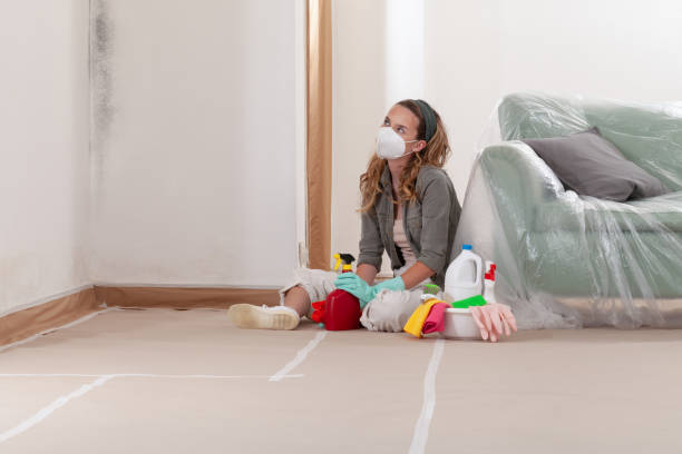 Reliable Mold Removal contractor in Wayne, IL by Mold Remediation HQ